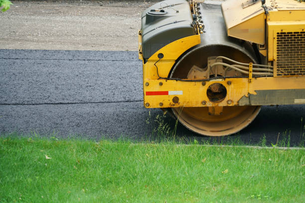 Best Decorative Driveway Pavers  in The Hammocks, FL